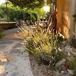 Bed and Breakfast La Fanette De Lure Pierrerue (Alpes-de-Haute-Provence)