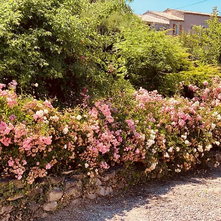 La Fanette De Lure 3* Pierrerue (Alpes-de-Haute-Provence)