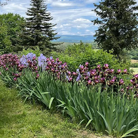 La Fanette De Lure 3*