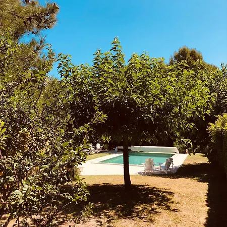 La Fanette De Lure B&B