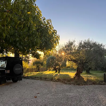 La Fanette De Lure Pierrerue (Alpes-de-Haute-Provence)