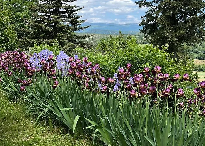 La Fanette De Lure 3*