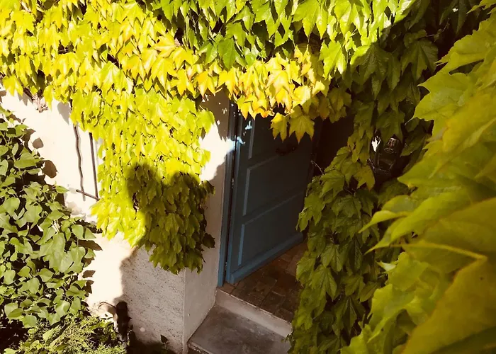 La Fanette De Lure Bed & Breakfast Pierrerue (Alpes-de-Haute-Provence)