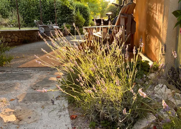 La Fanette De Lure Pierrerue (Alpes-de-Haute-Provence)